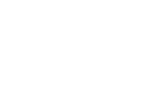 The Slow Buffalo Milwaukee Logo